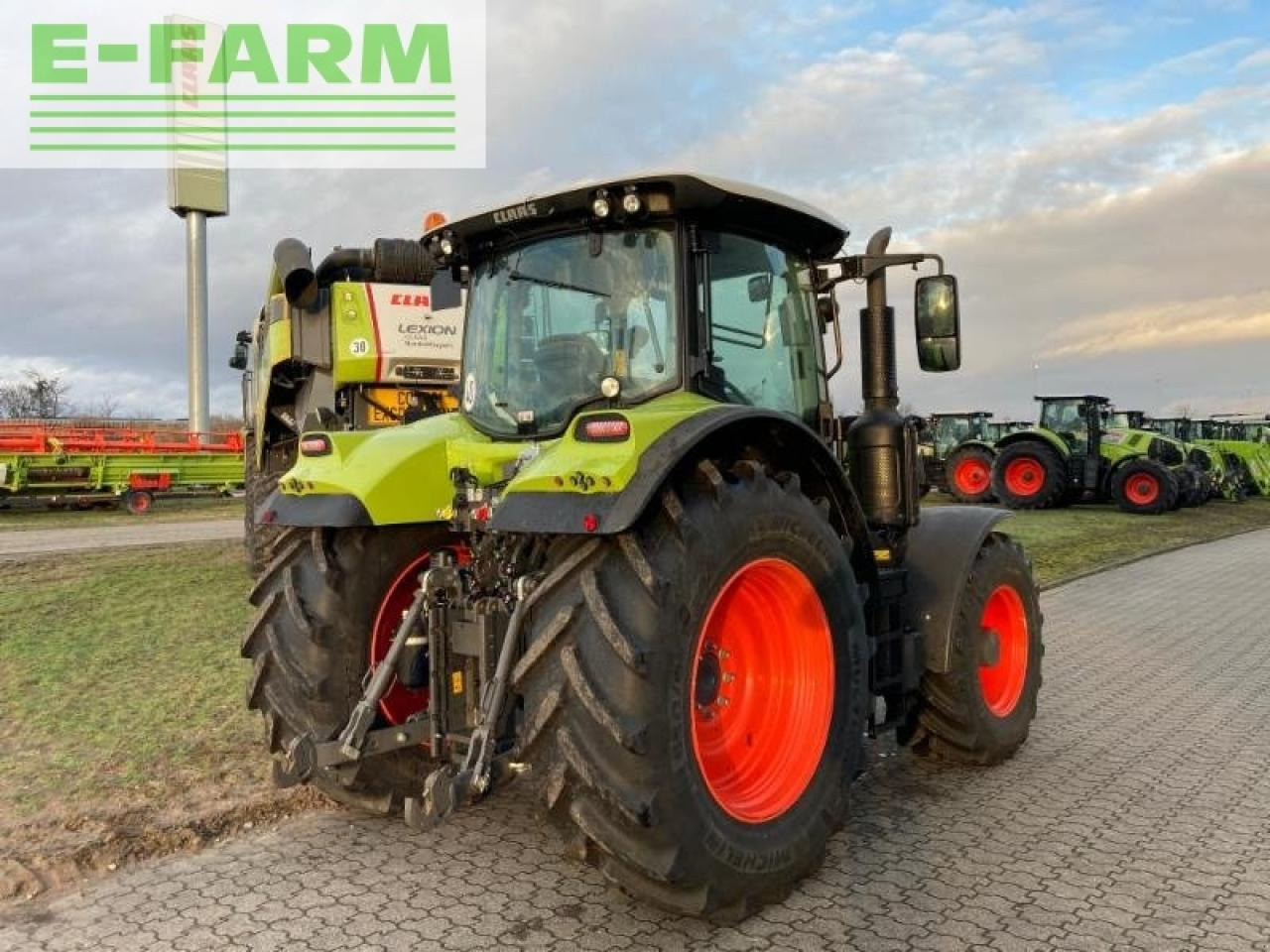 Farm tractor CLAAS arion 550 st4 cmatic: picture 5