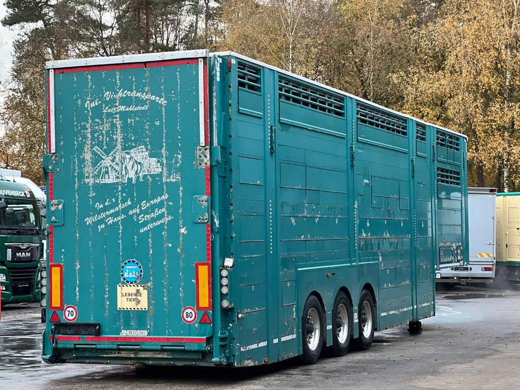 Livestock semi-trailer Pezzaioli 3.Stock Cattle-Cruiser Hals+Tiefbett Typ2: picture 7