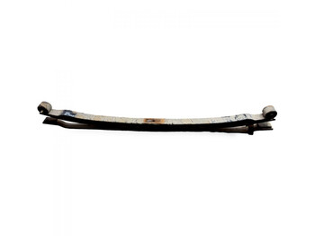 Steel suspension DAF LF55 (01.01-): picture 4