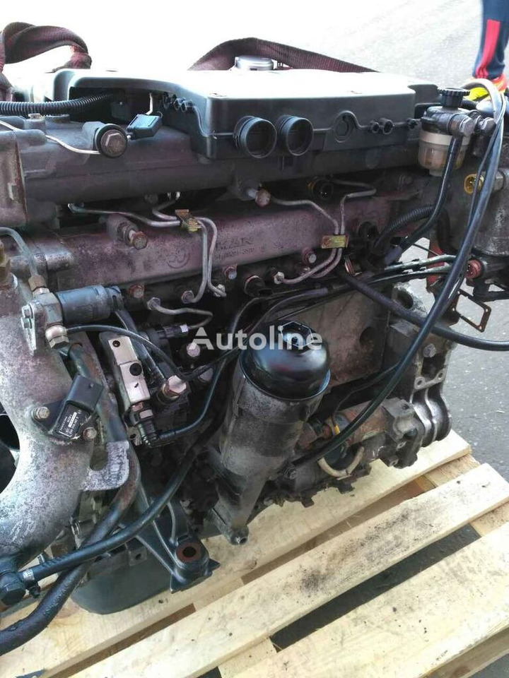 Engine for Truck MAN D0834 LFL50-55 E4   MAN TGL: picture 5