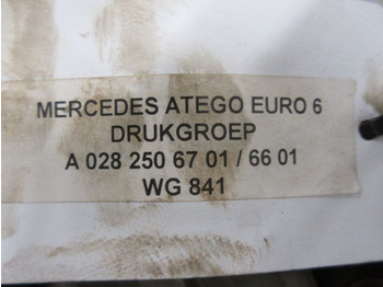Clutch and parts for Truck Mercedes-Benz ATEGO A 028 250 67 01 / 66 01 DRUKGROEP EURO 6: picture 3