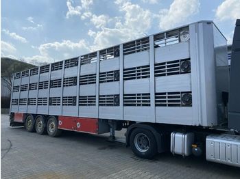 Livestock trailer LeciTrailer 3E20 Tier- Viehtransport 3 Achse 3 Stock: picture 1