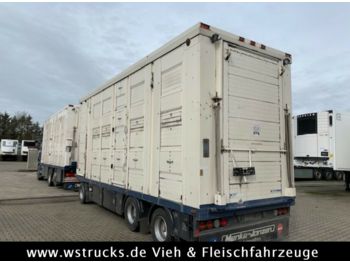 Livestock trailer Menke 3 Stock Ausahrbares Dach Vollalu  7,35m: picture 1