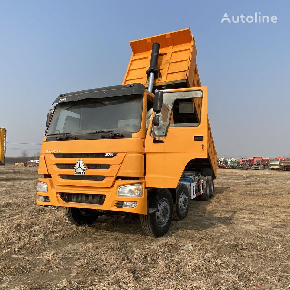 Tipper HOWO Sinotruk 8x4 drive 12 wheels tipper truck 375 yellow color: picture 2