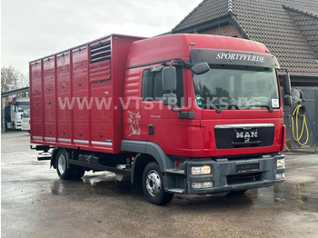 Livestock truck MAN TGL 10.250 4x2 Euro5 1.Stock Westrick: picture 1