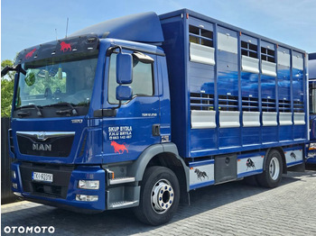Livestock truck MAN TGM 15.250