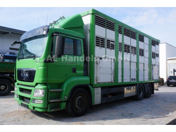 Horse truck MAN TGS 26.440