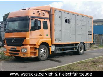 Livestock truck Mercedes-Benz Axor 1833 2 Stock Michieletto: picture 1