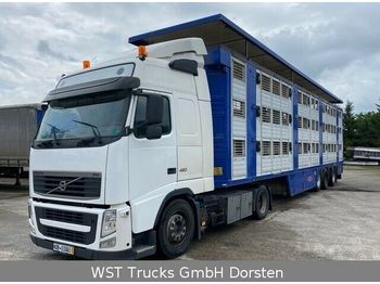 Livestock truck Volvo FH 460  XL Mega Vollausstattung: picture 1