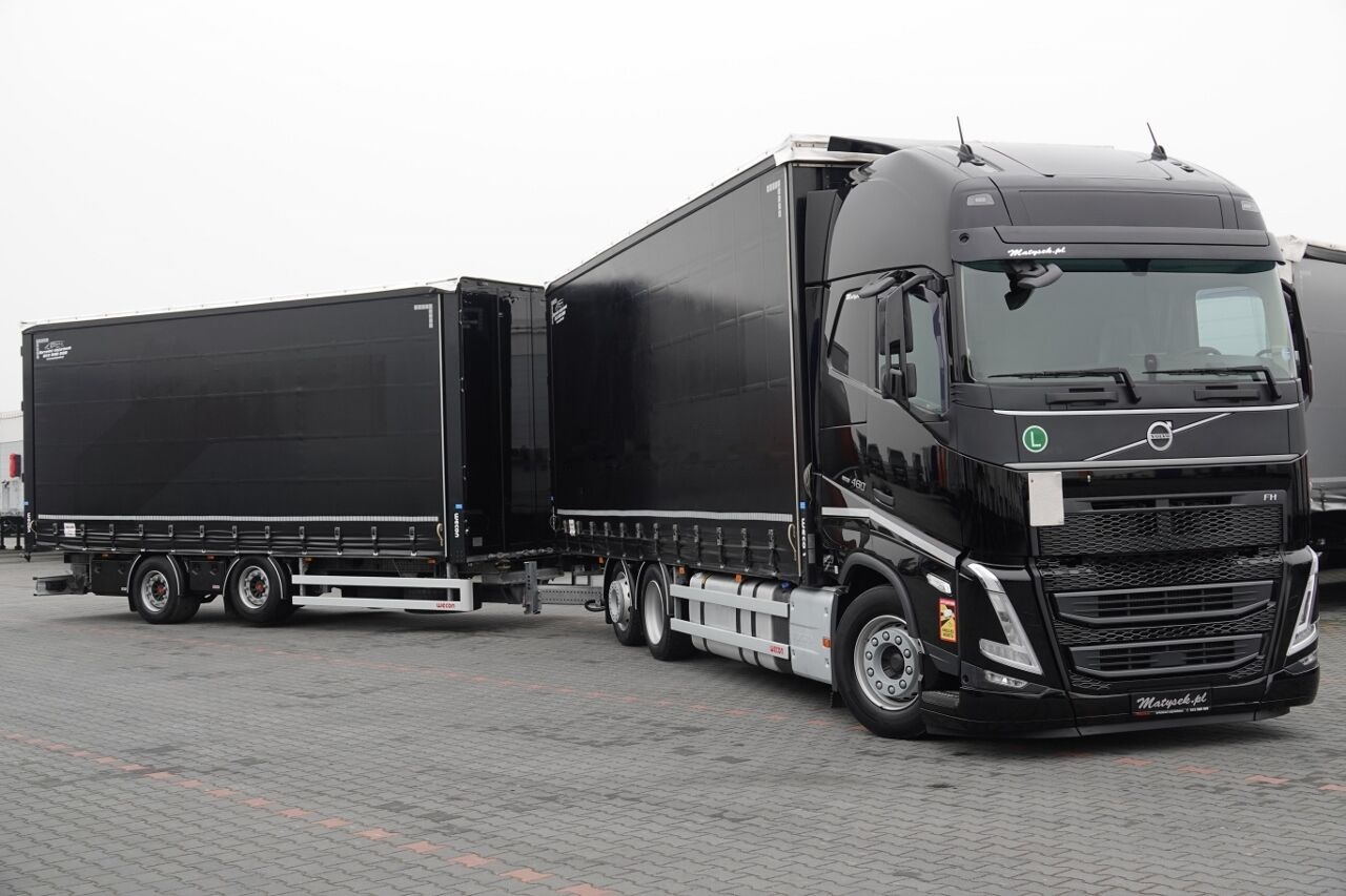 Curtainsider truck Volvo Volvo Wecon FH 460 FH 460: picture 2