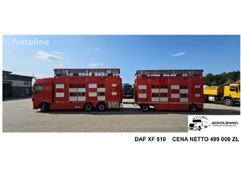 DAF DAF Pezzaioli XF 105.510 XF 105.510 - Livestock truck: picture 1