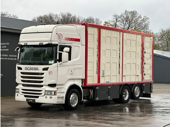 Scania R490 EU6 6x2 4.Stock Menke m. Hubdach & Tränke - Livestock truck: picture 1