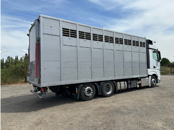 MERCEDES-BENZ Actros 2545 - Livestock truck: picture 4