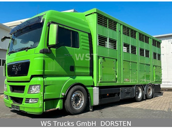 MAN TGX 26.480 XL KABA   3 Stock Vollalu  - Livestock truck: picture 1