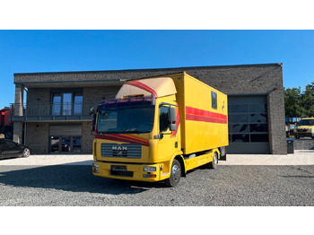 Horse truck MAN TGL 10.180