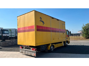 Horse truck MAN TGL 10.180 Euro 4  Pferdetransporter Horse MAN TGL 10.180 Euro 4  Pferdetransporter Horse: picture 4
