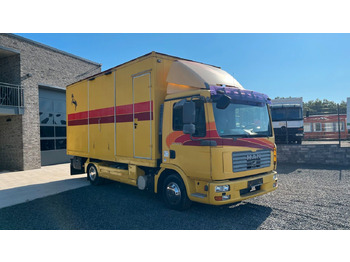 Horse truck MAN TGL 10.180 Euro 4  Pferdetransporter Horse MAN TGL 10.180 Euro 4  Pferdetransporter Horse: picture 2