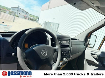 Flatbed van, Combi van Mercedes-Benz Sprinter 313 CDI 4x4 Doka: picture 2