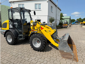 Wheel loader Wacker WL 44, BJ 22, 775 BH, Schaufel, Gabel, TOP: picture 3