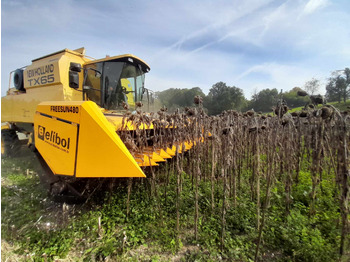 Sunflower header ELİBOL FREESUN 480 ROW INDEPENDENT SUNFLOWER HEADER: picture 4