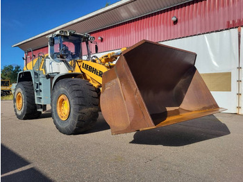 Leasing of Liebherr L 586 2Plus2  Liebherr L 586 2Plus2: picture 1