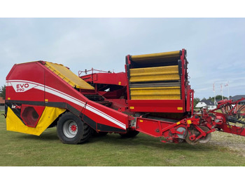 Potato harvester Grimme EVO 290 AirSep: picture 2