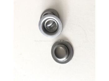 Valve IVECO