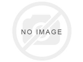 Steering gear LIEBHERR