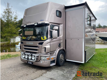 Camper SCANIA