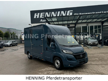 Livestock truck FIAT Ducato