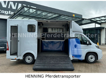 Livestock truck Peugeot Boxer 3 - Sitzer *GROSSE SATTELKAMMER*: picture 5