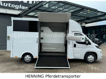 Livestock truck Peugeot Boxer *NEUWAGEN* ca. 1.200kg Nutzlast: picture 5