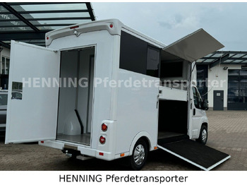Livestock truck Peugeot Boxer *NEUWAGEN* ca. 1.200kg Nutzlast: picture 4
