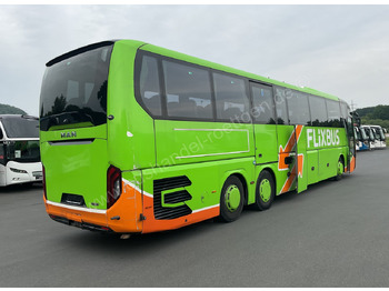 Coach MAN R 08 Lion ´s Coach L: picture 3