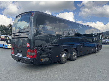 Coach MAN R09 Lions Couch C: picture 3 Coach MAN R09 Lions Couch C: picture 3