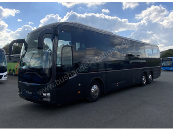 Coach MAN R09 Lions Couch C: picture 2 Coach MAN R09 Lions Couch C: picture 2