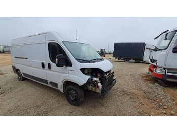 Panel van FIAT Ducato