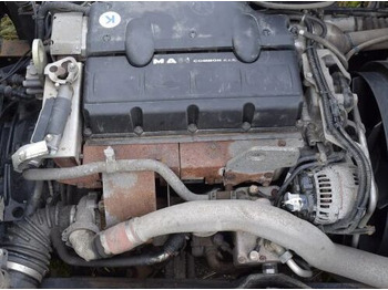 Engine MAN TGL