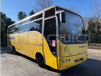 Coach IVECO