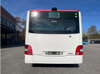 Leasing of  Man Lion's City Man Lion's City: picture 5