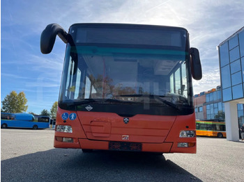 Leasing of  Man Lion's City Man Lion's City: picture 2