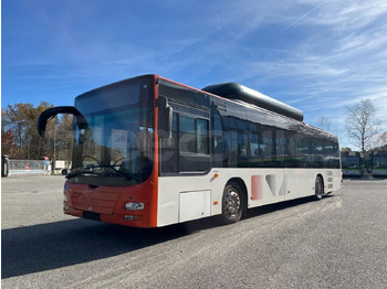 Leasing of  Man Lion's City Man Lion's City: picture 4