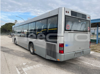 City bus Man Lion's Classic: picture 5
