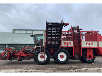 Beet harvester WKM Agrifac WKM BIG SIX Bietenrooier, rooimachines, oogstmachines.: picture 2