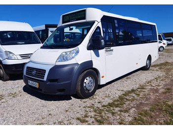 City bus FIAT Ducato