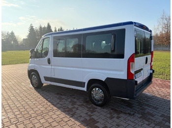 Minibus, Passenger van FIAT Ducato: picture 3
