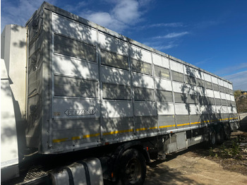 Livestock semi-trailer
