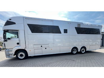 Horse truck for transportation of animals MAN 26.480 5 pferde: picture 4