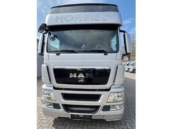 Horse truck for transportation of animals MAN 26.480 5 pferde: picture 2