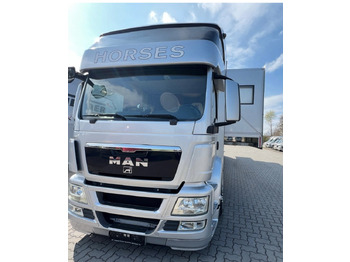 Horse truck for transportation of animals MAN 26.480 5 pferde: picture 3